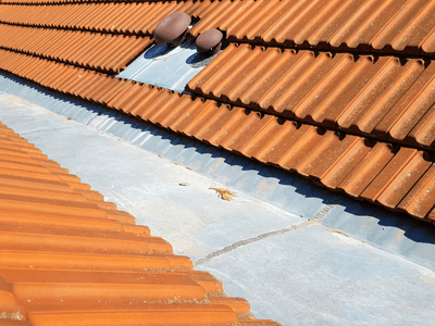 About Roof Repair Experts Tampa, FL